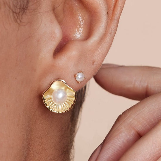Vita gold seashell stud earrings with cultured freshwater pearls